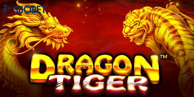 Việc nắm vững cách chơi rồng hổ giúp hội viên gia tăng cơ hội thắng